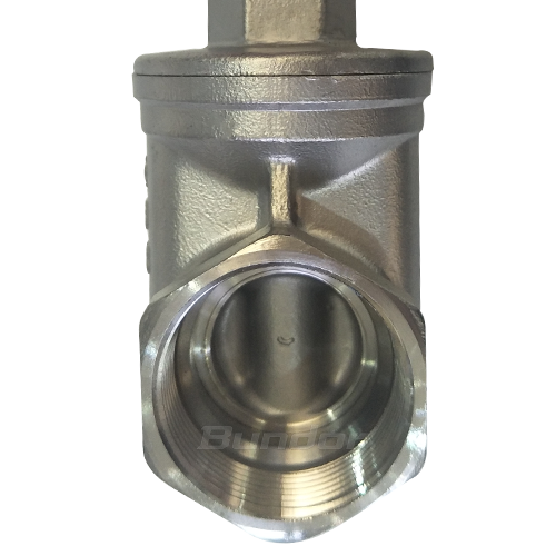 Stainless Steel Thread Gate Valve3